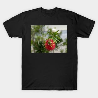 Red and Green Florida Flower 1 T-Shirt